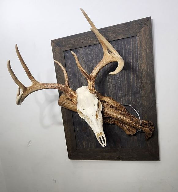 Deer deals mounting plaques